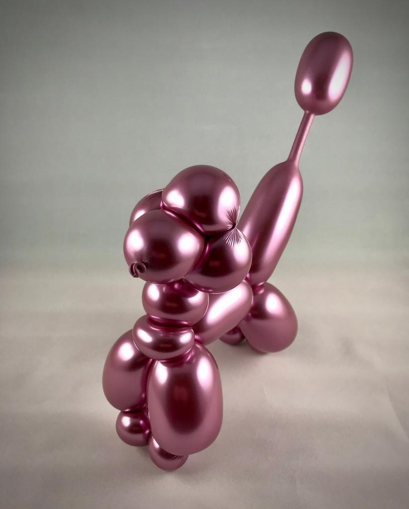 Twisted Balloon Poodle