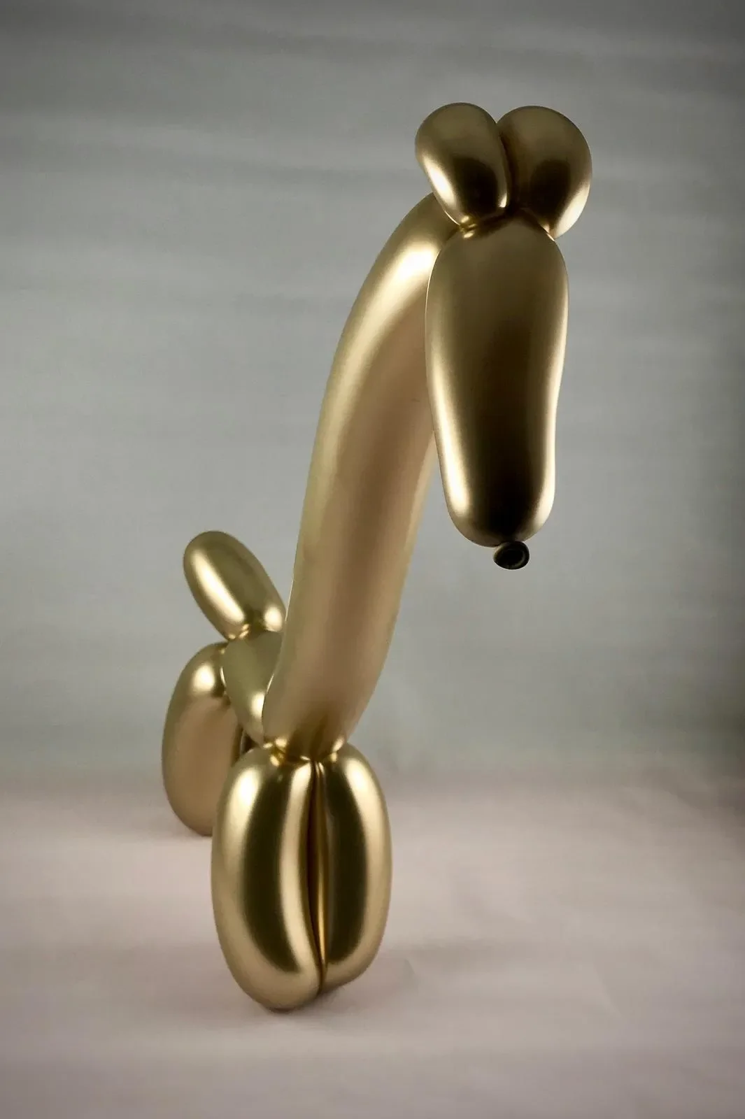 Balloon Sculpture of a Giraffe
